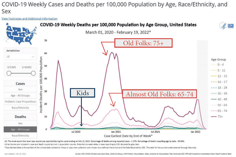 covid weekly cases and deaths